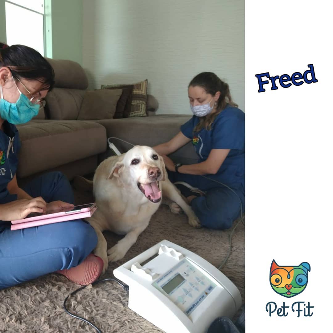 Fred - PetFit