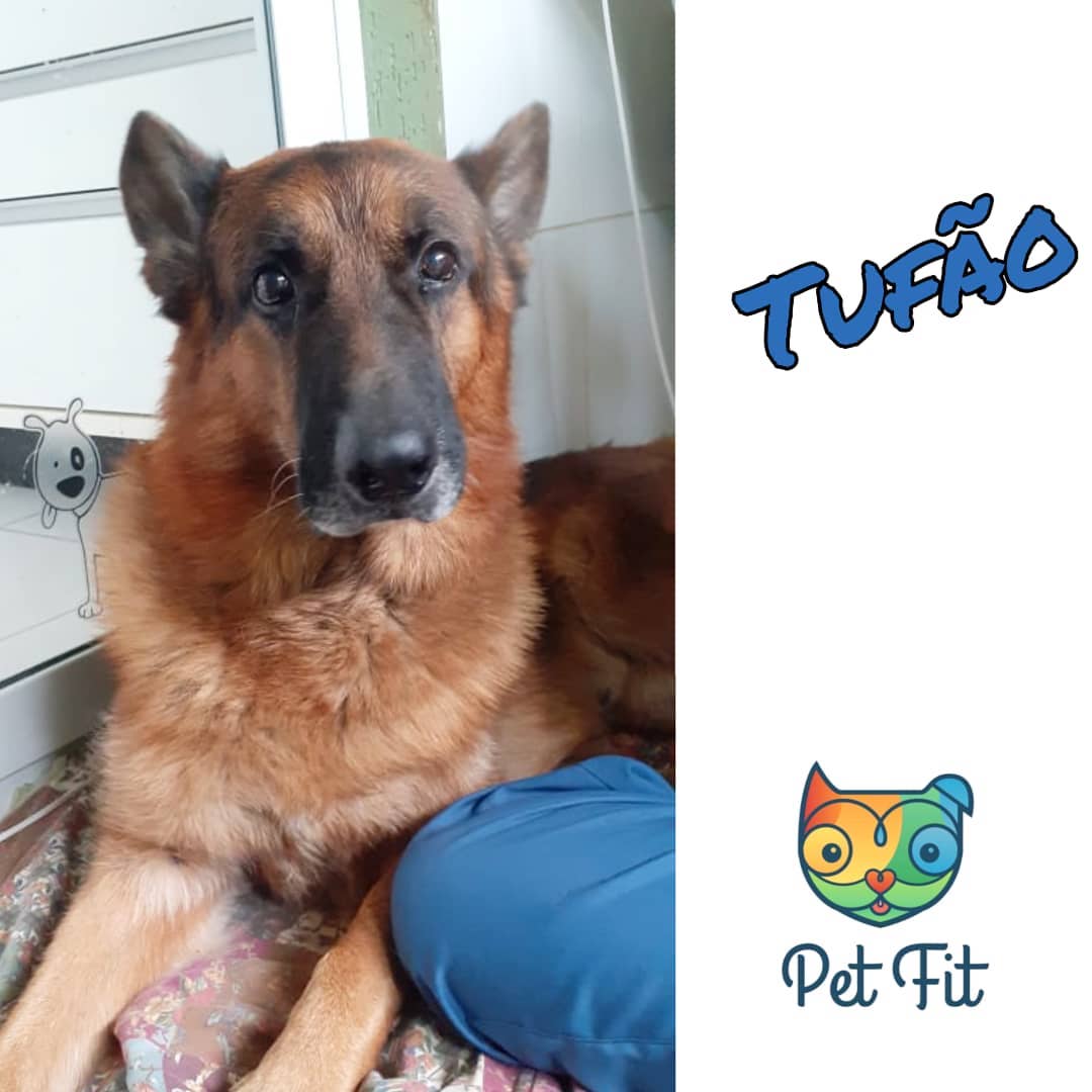 Tufao - PetFit